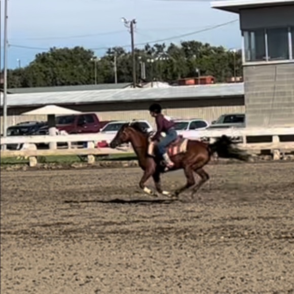 Meet your Posher, Rileigh - Picture 6 of 7